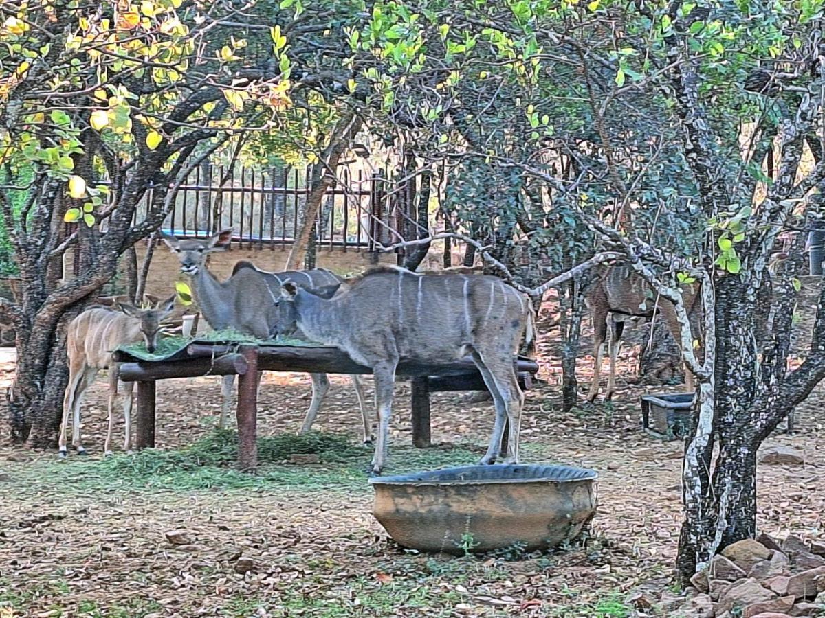 Loskop Serene Bush Cabin Winterkamp 外观 照片