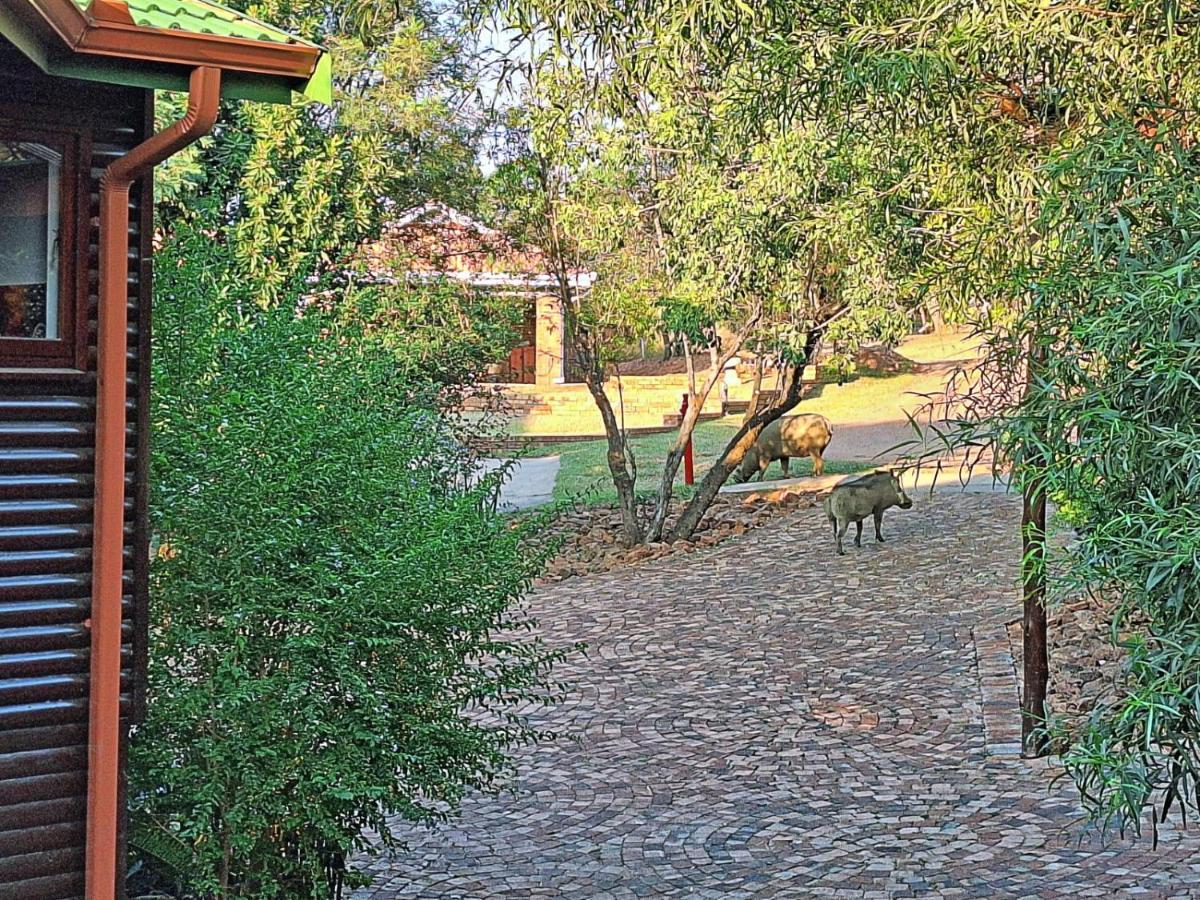Loskop Serene Bush Cabin Winterkamp 外观 照片