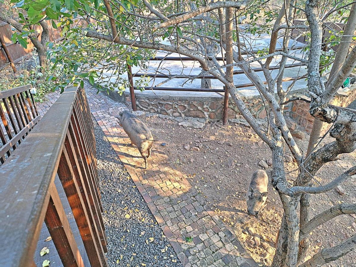 Loskop Serene Bush Cabin Winterkamp 外观 照片